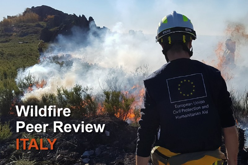 Peer review incendi boschivi